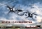 ORLIK 067 XP-61E/ F-15 Reporter - OFFSET