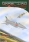 MODEL-KOM 01/2017 Mig E-8
